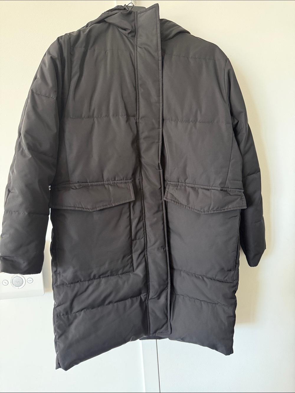 Everlane Black Puffer Parka with Hood